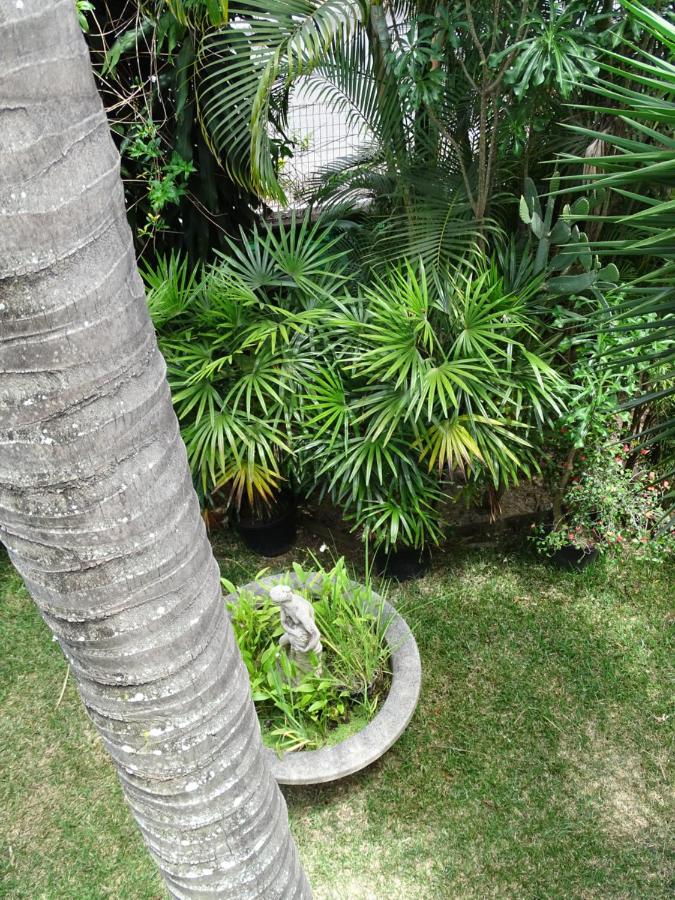 Hotel Residence Le Phoenix Saint Pierre Luaran gambar