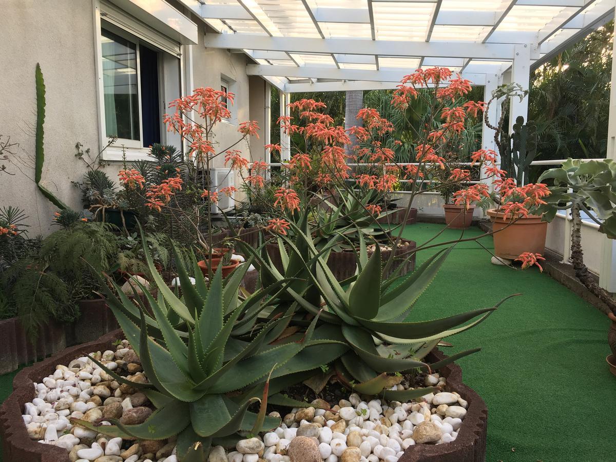 Hotel Residence Le Phoenix Saint Pierre Luaran gambar